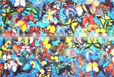 Plastic Table Plate Mat, Hot Food Table Mat, 3D Lenticular Printing Dining Table Mat photo-4
