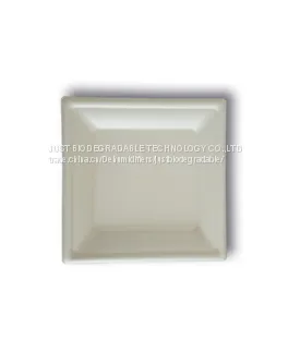 JUST Disposable Compostable Paper Pulp Bagasse Tableware Square Plate 6