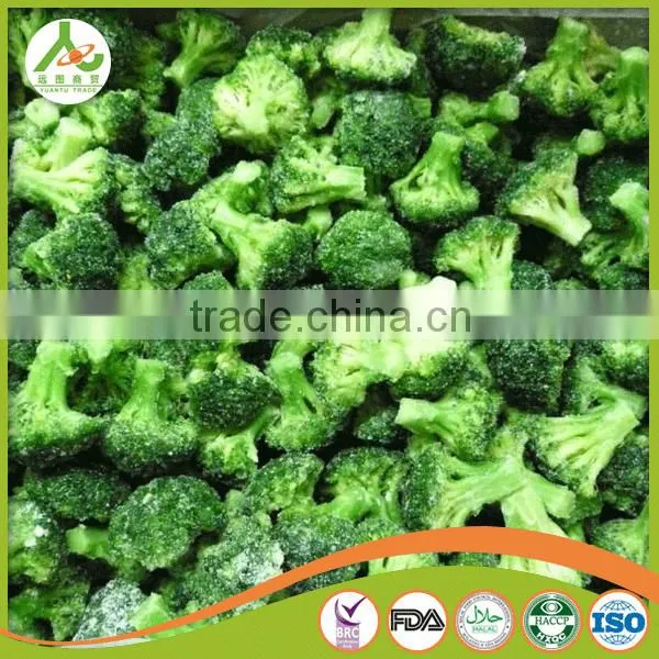 2016 New Crop Chinese Fresh Broccoli photo-4