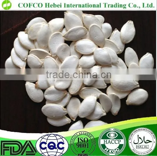 11mm up White Pumpkin Seeds