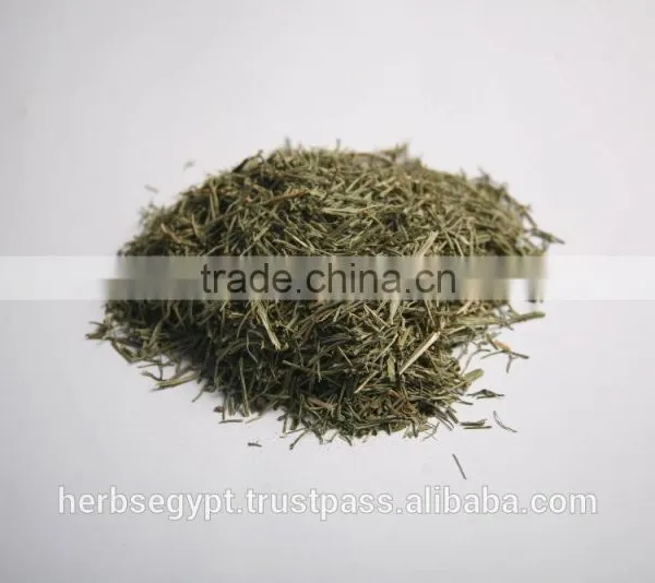Dried Peppermint Stems From Egypt ,herbs and Spices Season 2016 photo-2