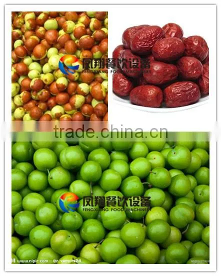Spray Type Fruit/Melons/Vegetable Washing Machine With Roller Brushes photo-6
