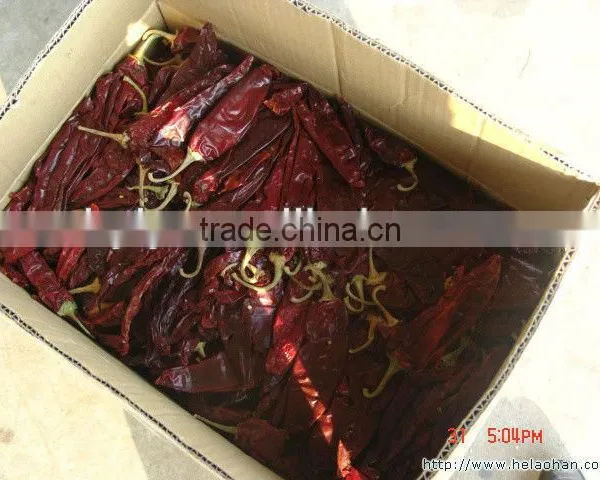 2016 Dried Red Chili Pods photo-3