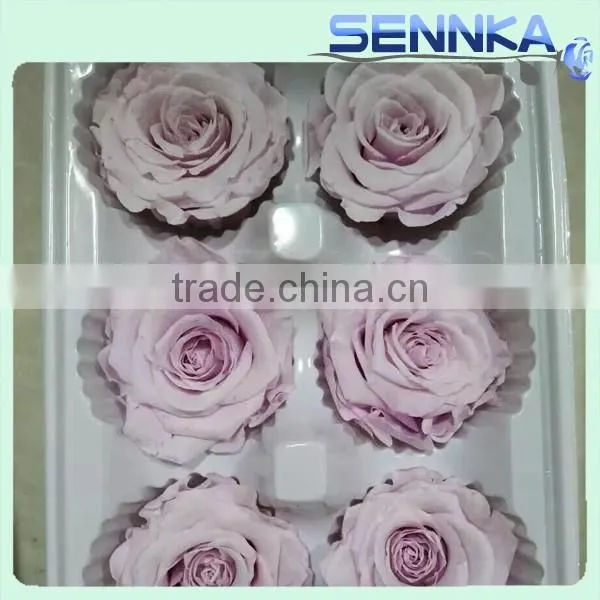 Natural Real Touch Flower Rose 2-3cm Flower Rose Head Preserved Fresh Flower photo-3