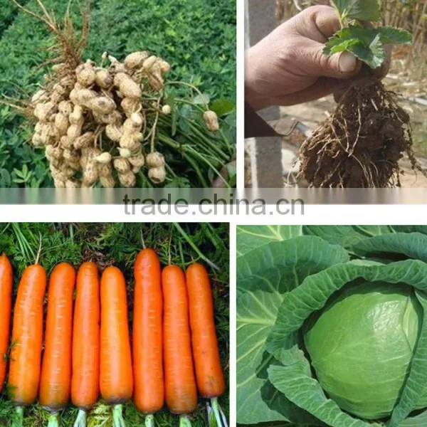 Agriculture Grade Liquid Chitosan Organic Fungicide and Fertilizer photo-4