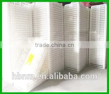 2017 Best Price Plastic Chicken Transport Cage for Poultry Farms photo-6
