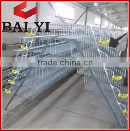 Quail Egg Cage For Quail Egg Production