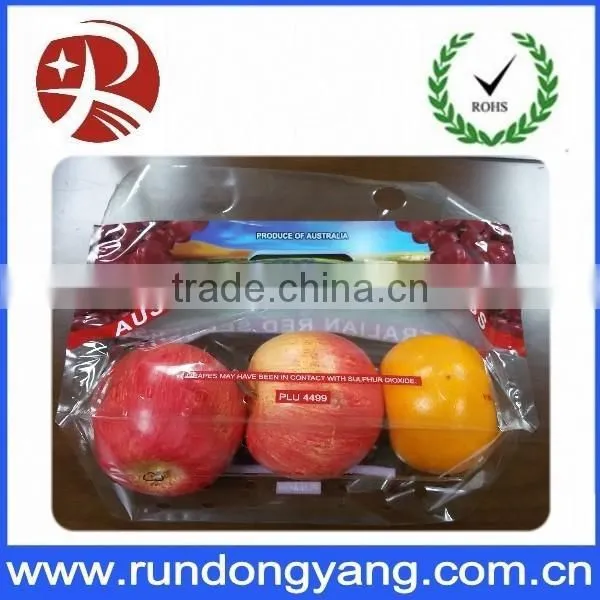 Stand up Pouch Zipper Fruit Packing Bag With Air Holes and Handle photo-5