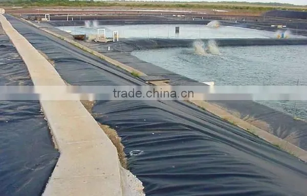 Waterproof Geomembrane, Black Ldpe Geomembrane 1.5mm photo-2