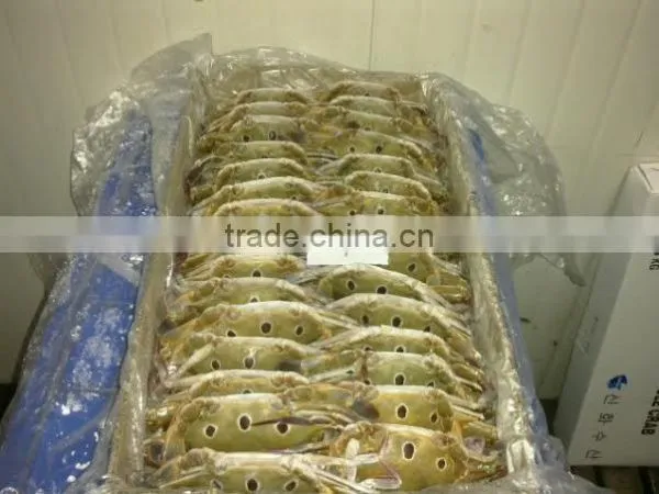 Frozen Crab Whole photo-2