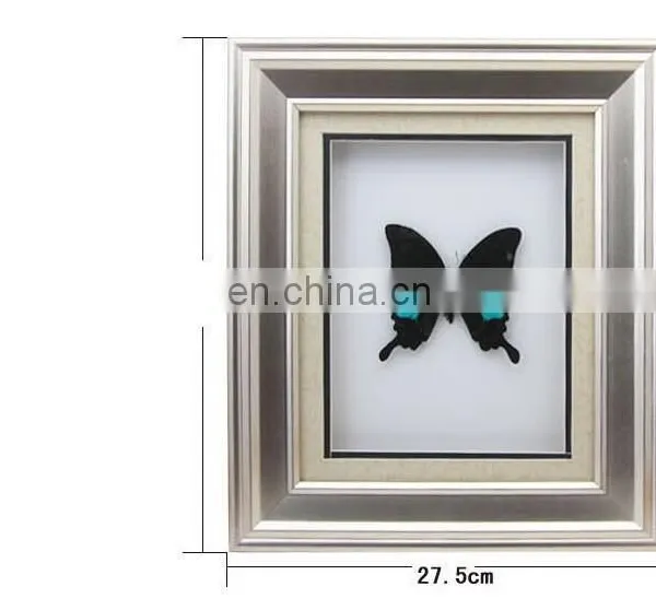 Nature Real Butterfly Frame Home Decoration Craft photo-4