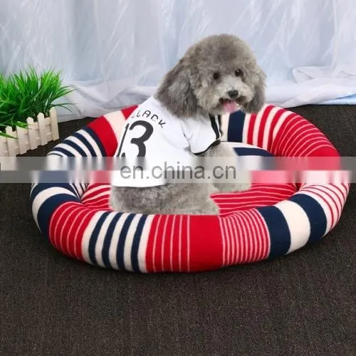 Indoor Pet Dog Puppy photo-3