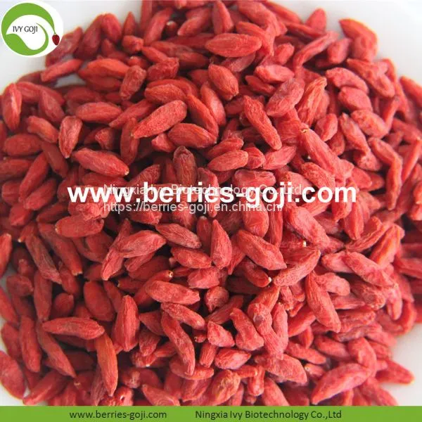 Factory For Sale Dried Conventional Goji Berry