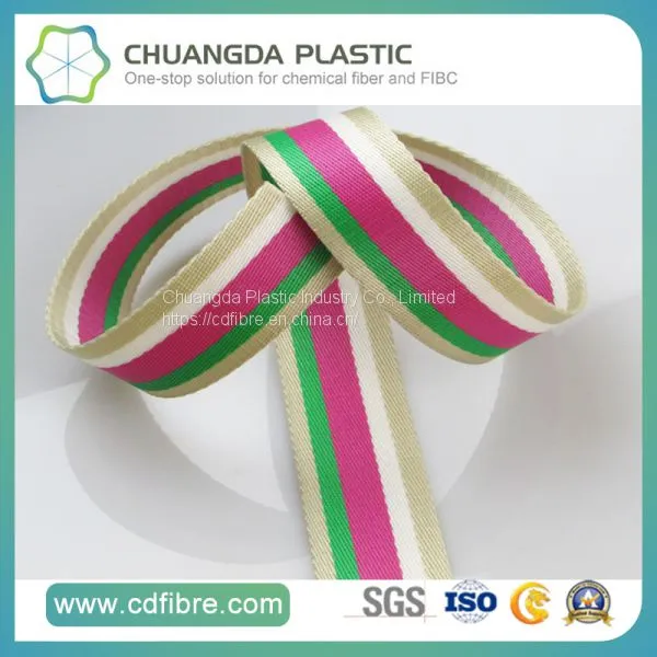 Webbing Products Type and Eco-Friendly PP Woven Belts photo-3