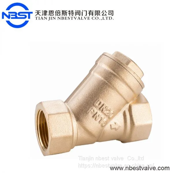 DN100 2 Inch SS304 Net Bronze Y Type Brass Strainer 25Bar photo-2