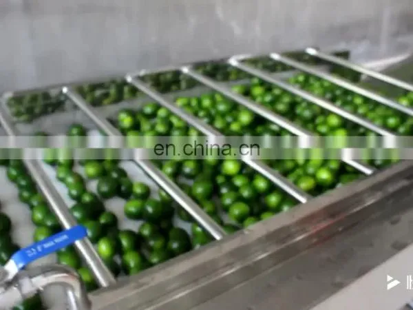 Time Saving Tomato Vegetable Sorting Machine Potato Sorting Machine Fruit Grader for Sale
