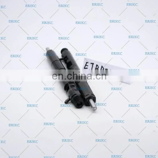 ERIKC EJBR02501Z Original Diesel 2501Z Common Rail Injector EJB R02501Z photo-6