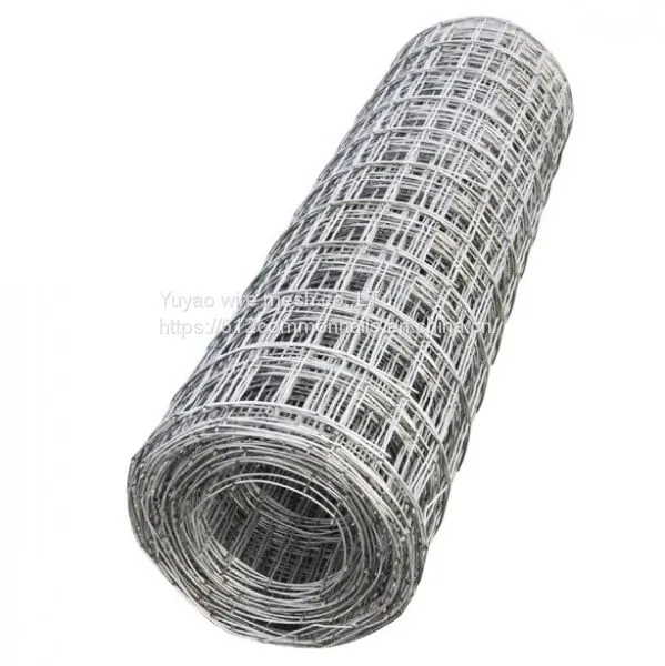 Galvanized Welded Wire Mesh photo-5