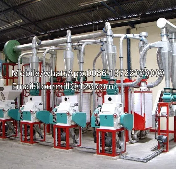 Grain Processing Machine Automatic Flour Mill Wheat Flour Milling Machine photo-5