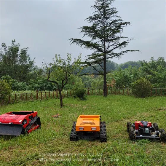 Remote Control Mower of Hills China Manufacturer Factory Supplier Wholesaler photo-3