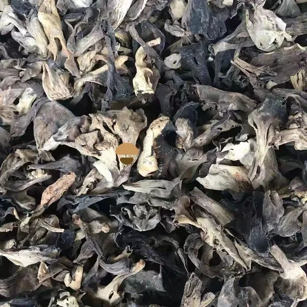 Dehydrated Wild Dried Black Trumpet Mushroom Craterellus Cornucopioides