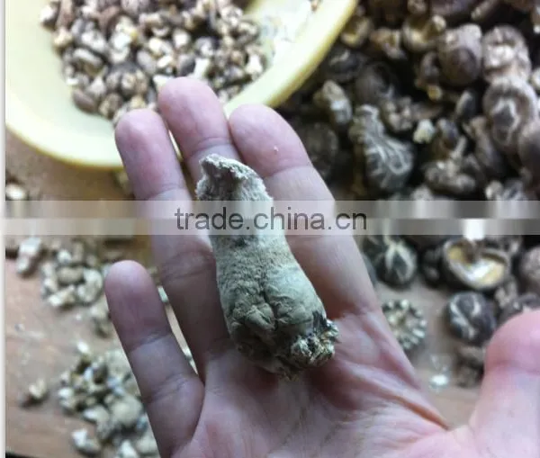 Dried Shiitake Mushroom Leg/ Mushroom Stem
