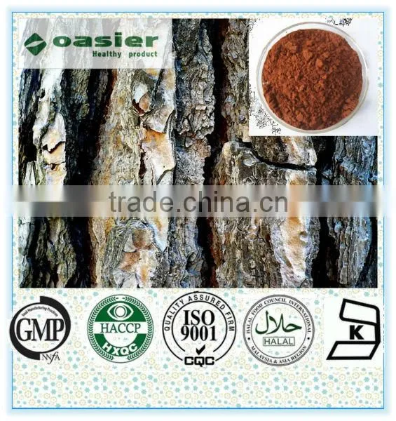 100% Natural Pine Bark Extract Factory Price