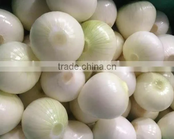 2014 Crop Fresh Yellow Onion High Quality and Good Price photo-2