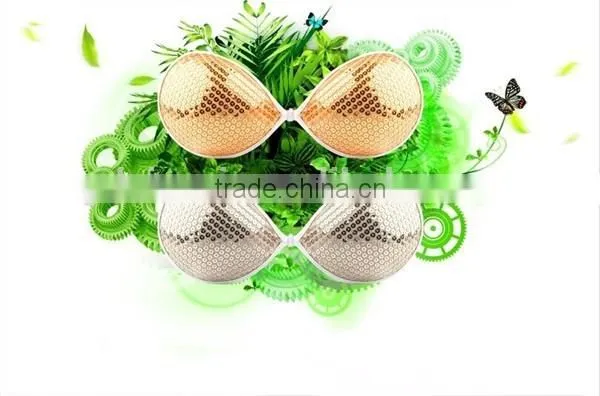 Shiny Argent Paillette Bra for Backless Dress photo-2