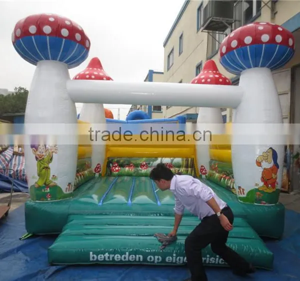 Best Selling Inflatable Bounce Castle Inflatable Combo for Children Quality Choice photo-3