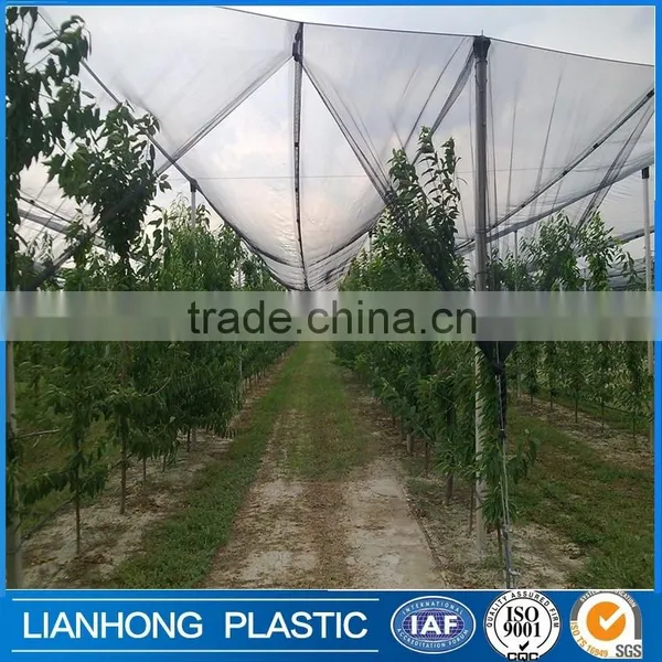 Made in China Anti Hail Net, Anti Hail Netting for Agriculture, 2016 Hot Sale Agricultural HDPE Anti Hail Nets Supplier's Choice