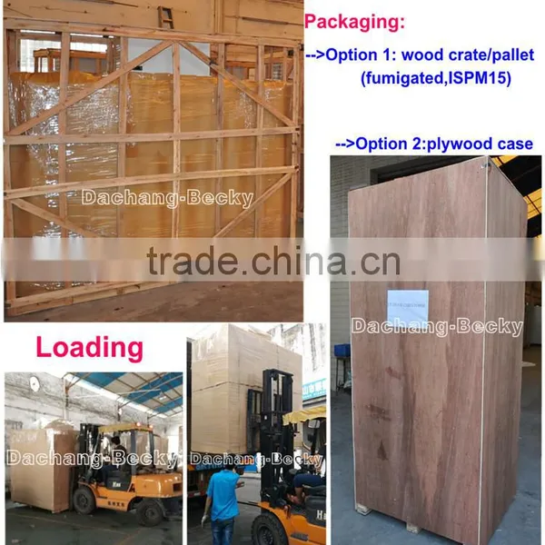 New Design Cihlled and Freezing Ice Merchandiser for Gas Station Ice Storage Bin photo-6