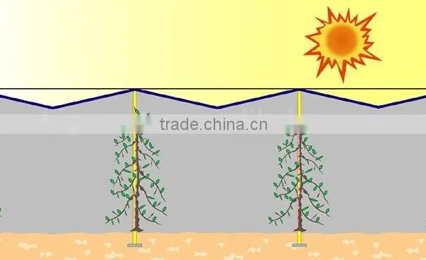 30% Agriculture HDPE Tape Shading Net , Cheap Netting photo-4