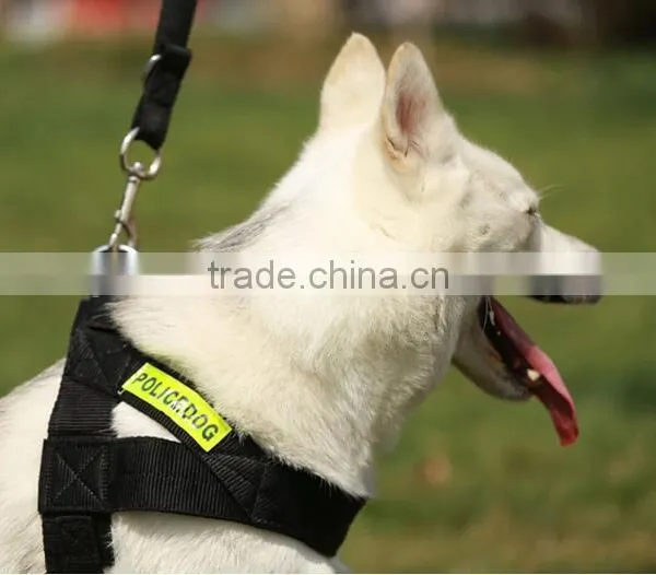 Customized Nylon Material Dog Strap photo-2