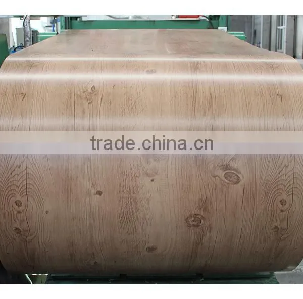 Hot Sale Galvanized Price Steel Coil/PPGI PPGL for Building Material photo-6