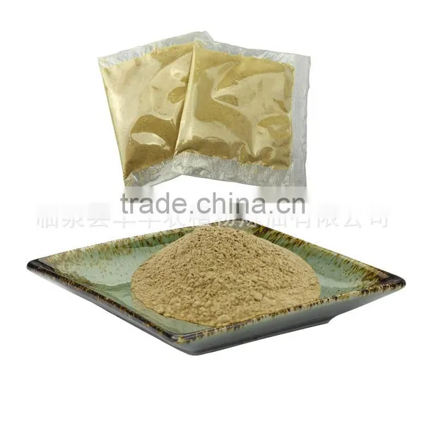 Sulfur-free Ginger Powder Ginger Extract Powder photo-4