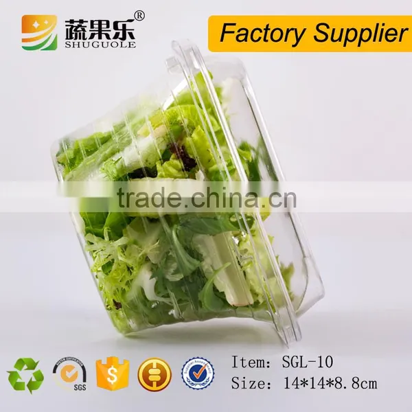 PET Transparent Plastic Vegetable Salad Clamshell Container photo-4
