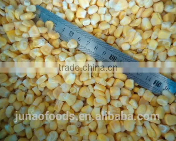 Nourishing Fresh Sweet Corn for Human photo-3
