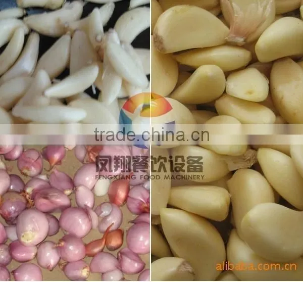 Industrial Commercial Garlic / Shallot Peeler Peeling Machine With Stainles Steel & CE Approved Garlic Skinner photo-4