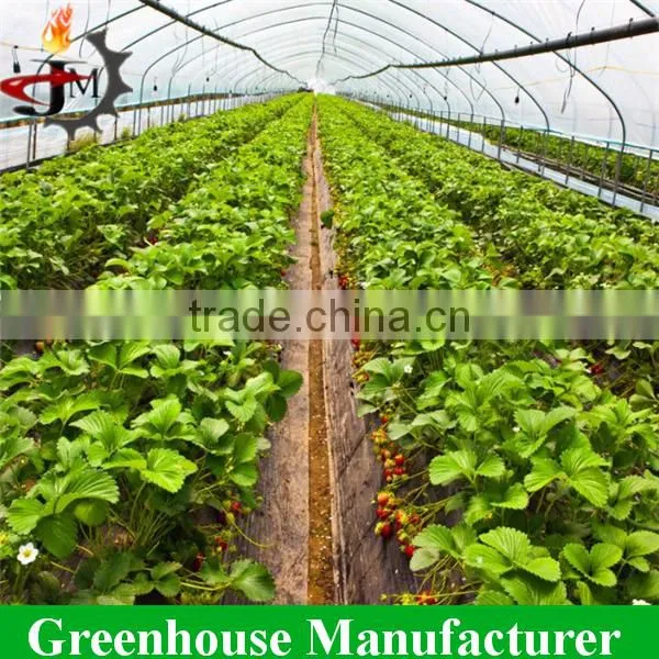 High Quality 200 Miron Film Tunnel Arch Green Houses for Vegetable Used photo-3