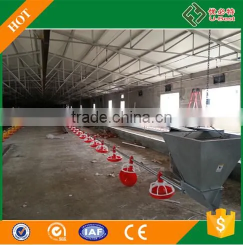 Female and Male Chick Automatic Breeder Poultry House for Floor Breeding photo-5