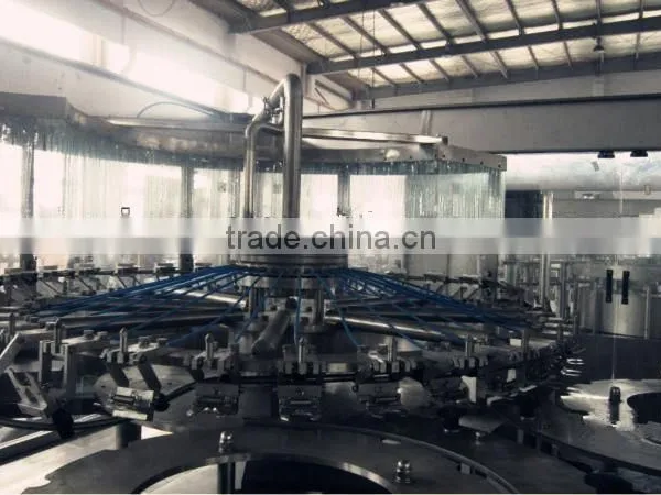 Plastic Bottle Juice Hot Filling Equipment Price photo-2