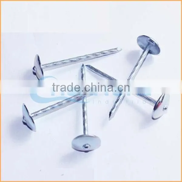 Top Quality 3 Inch Roofing Nail Trusted Chuanghe Suppliers From Com photo-4