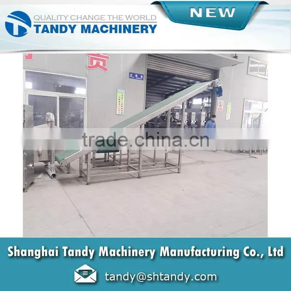 Food Grade Fruit PVC Belt Conveyor photo-3