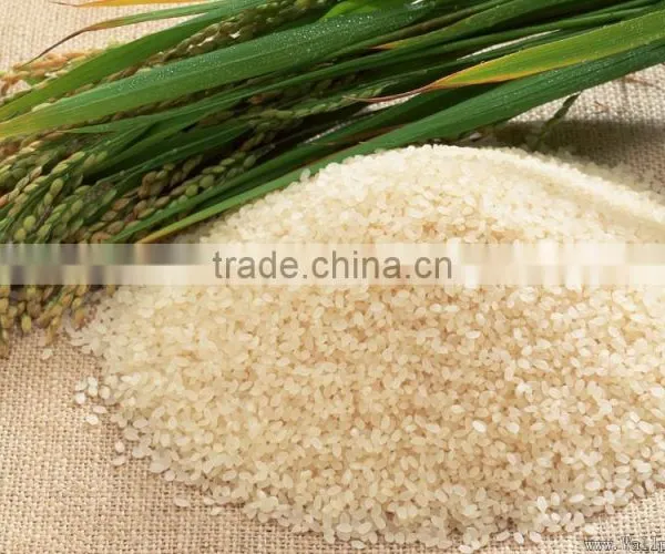 MIngder Millet/Sorghum Rice Color Sorter Machine With Competive Price photo-5