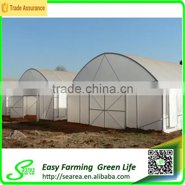 Searea Easy Farming Economical Single Tunnel Greenhouse photo-2