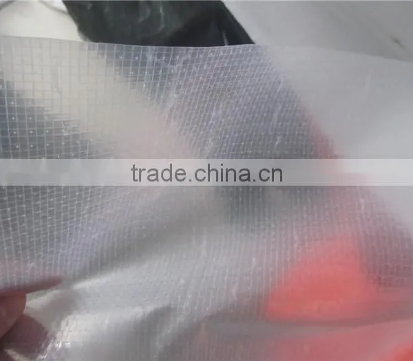 Cold Resistant Transparent pe Tarpaulin, Covering Tarpaulin, Waterproofing PE Tarpaulin