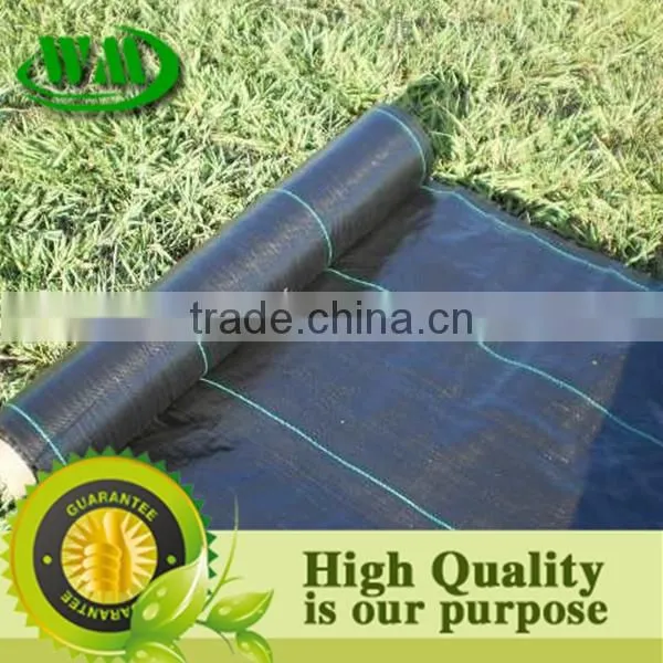Agricultural Black Plastic Ground Cover photo-4