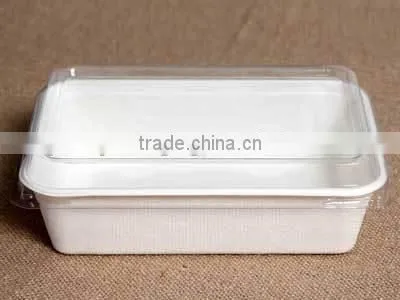 600ml Disposable Bagassse Food Packaging Box With PET Lid 175x120x45 HR13 photo-2