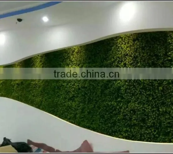 Indoor and Outdoor Decorative Green Plants Wall Make and Install photo-3
